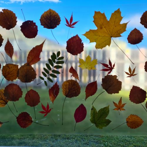 Herbst 24
