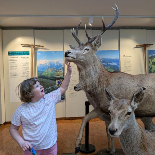 Toblach Naturparkhaus 2026