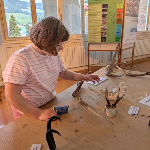 Toblach Naturparkhaus 2026